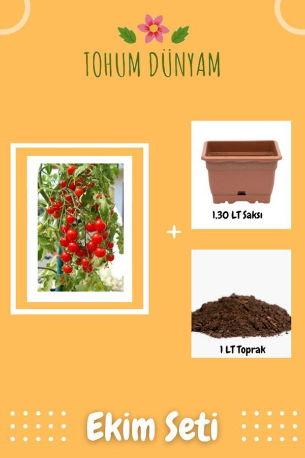 Ayc Botanik Delicious Salkım Cherry Domates Ekim Seti - Image 1