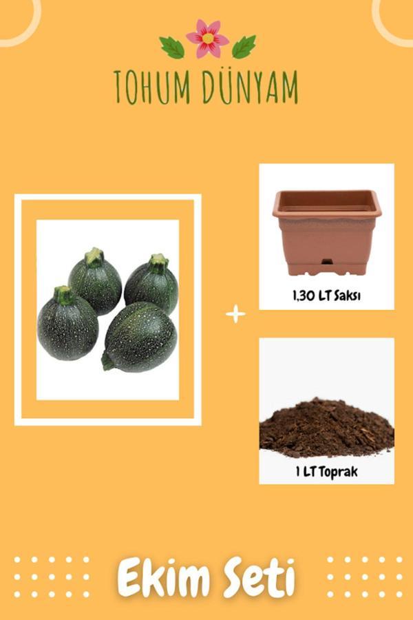 Ayc Botanik Atalık Topak Kabak Tohumu Ekim Seti - Image 1