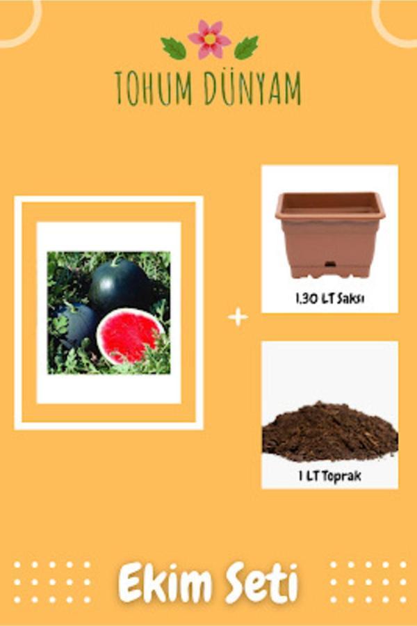 Ayc Botanik Halep Siyah Karpuz Tohumu Ekim Seti - Image 1
