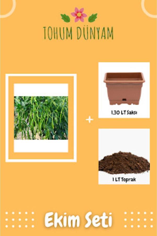 Ayc Botanik Yediveren Acı Kıl Biber Tohumu Ekim Seti - Image 1