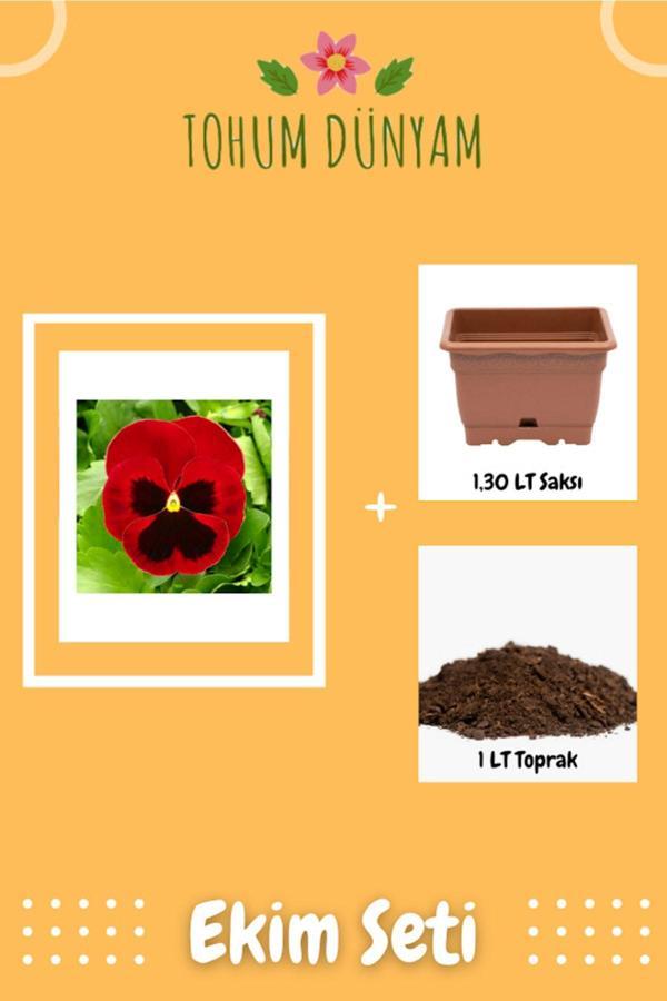 Ayc Botanik Hercai Menekşe Tohumu Ekim Seti - Image 1