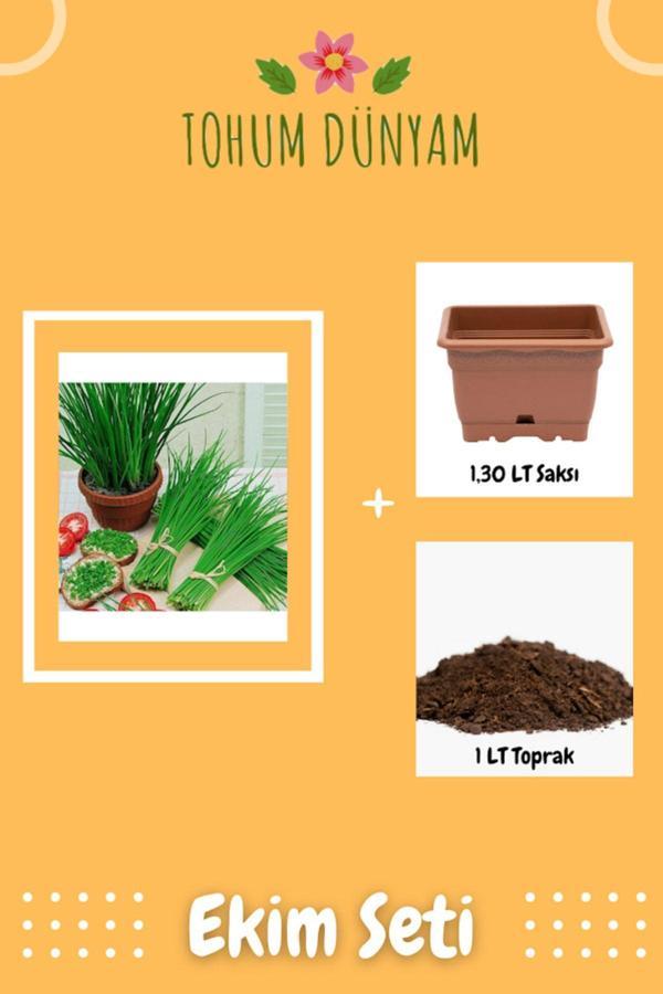 Ayc Botanik Frenk Soğanı Tohumu Ekim Seti - Image 1