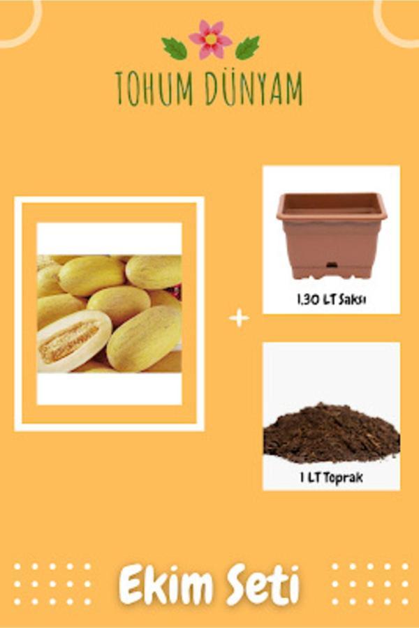 Ayc Botanik Golden Sweet Crispy Kavun Tohumu Ekim Seti - Image 1