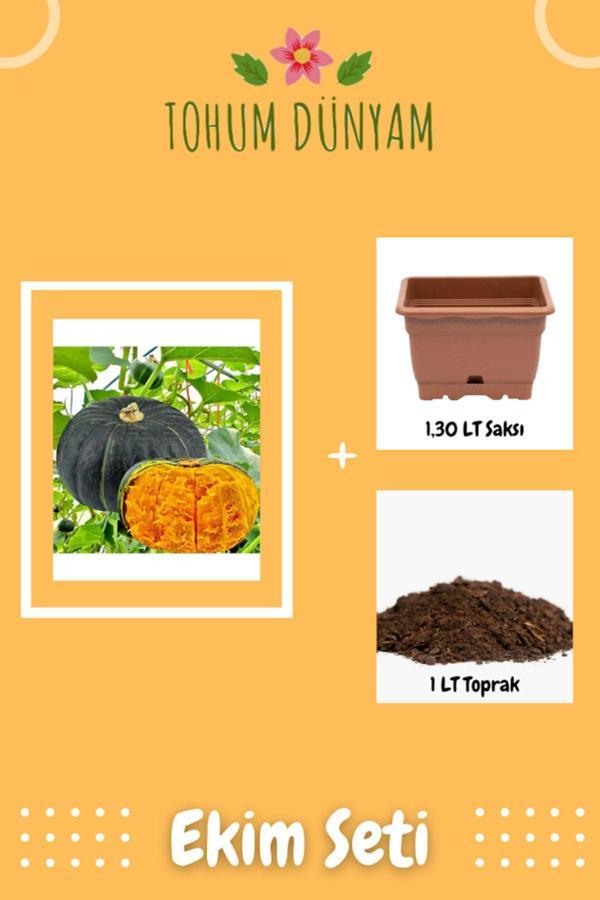 Ayc Botanik Sweet Japanese Bal Kabağı Tohumu Ekim Seti - Image 1