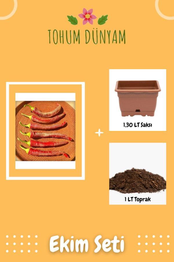 Ayc Botanik Rhizah Macedonia Biber Tohumu Ekim Seti - Image 1