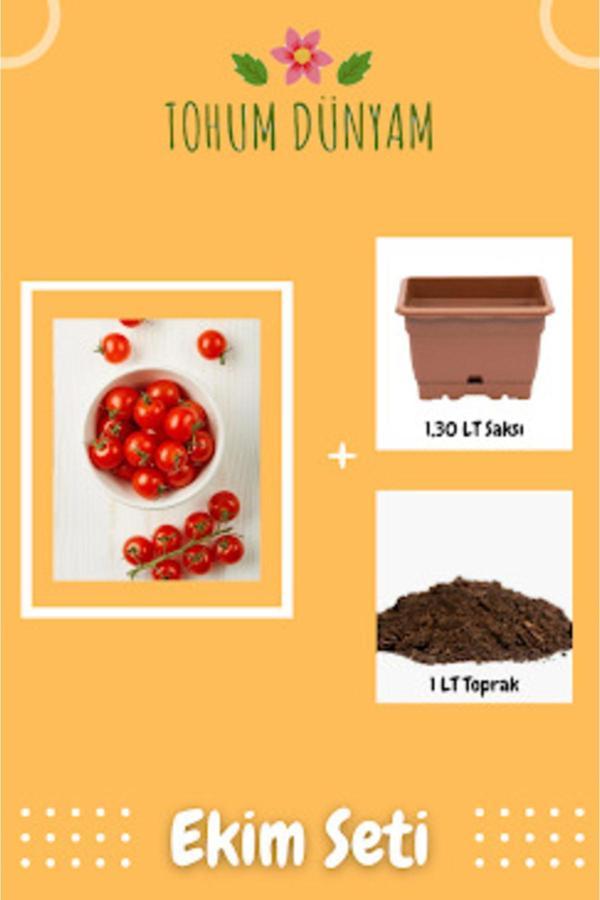 Ayc Botanik Doğal Kahvaltılık Chery Domates Tohumu Ekim Seti - Image 1