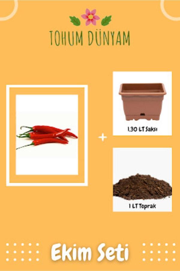 Ayc Botanik Chili - Meksika Acı Biber Tohumu Ekim Seti - Image 1