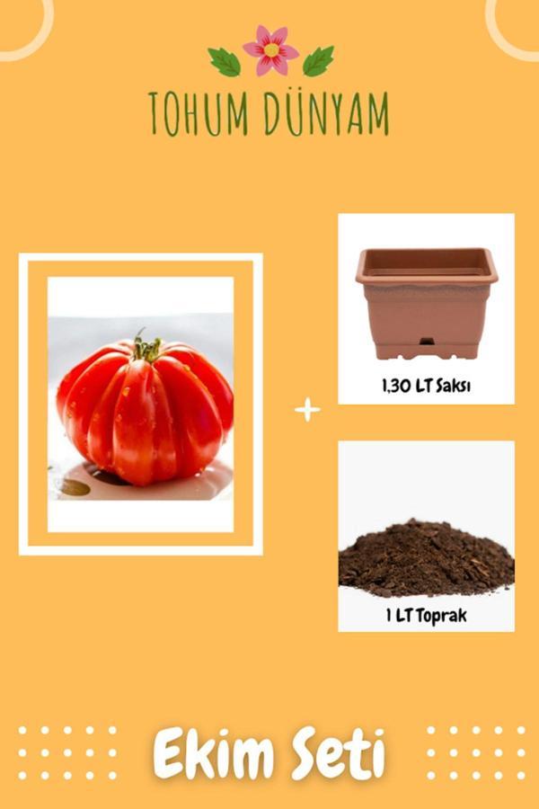 Ayc Botanik Italyan Ceneviz Domates Tohumu Ekim Seti - Image 1