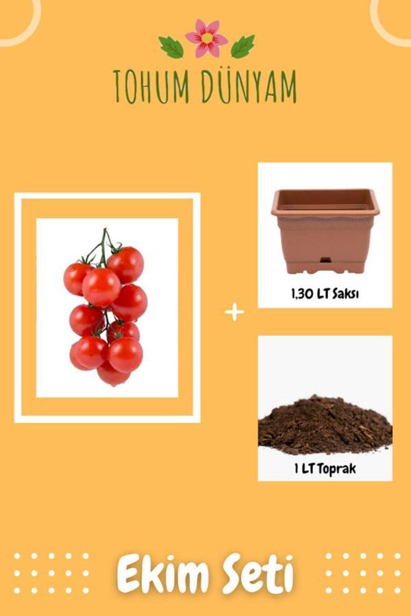 Ayc Botanik Erkenci Beşdeli Salkım Domates Tohumu Ekim Seti - Image 1