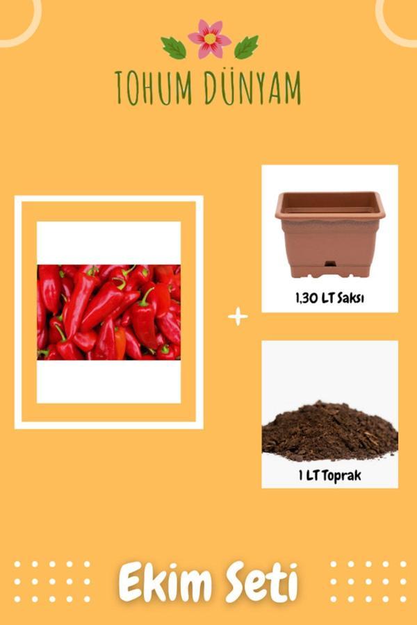 Ayc Botanik Kapya Biber Tohumu Ekim Seti - Image 1