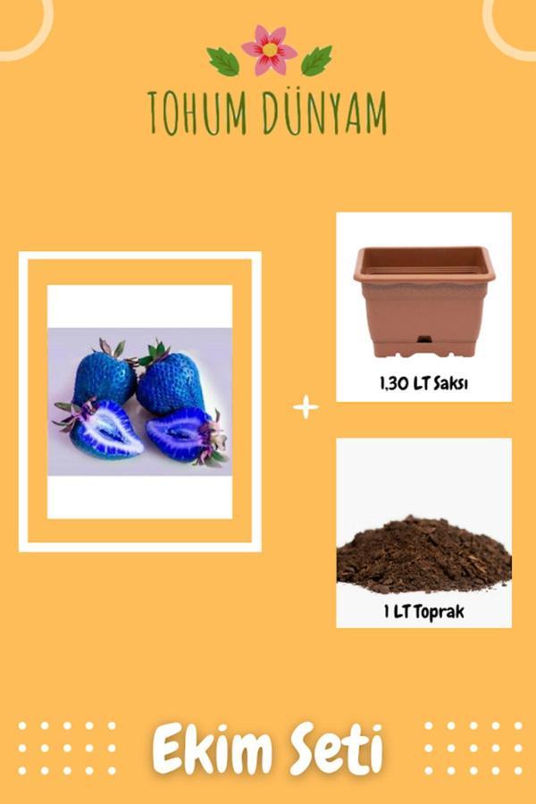 Ayc Botanik Mavi Çilek Tohumu Ekim Seti - Image 1