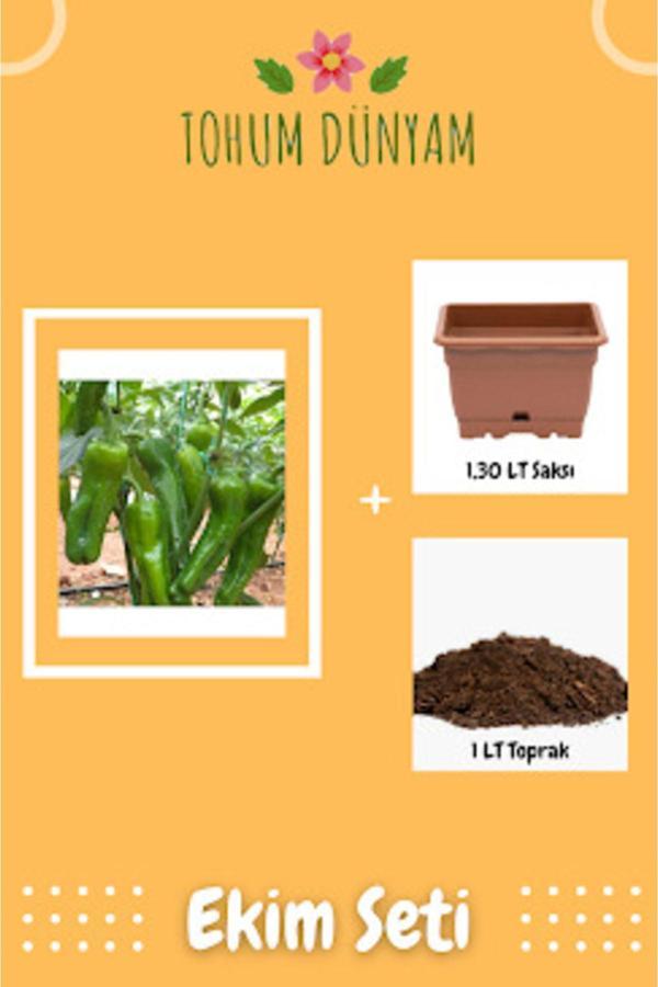 Ayc Botanik Yediveren Üç Burun Biber Tohumu Ekim Seti - Image 1