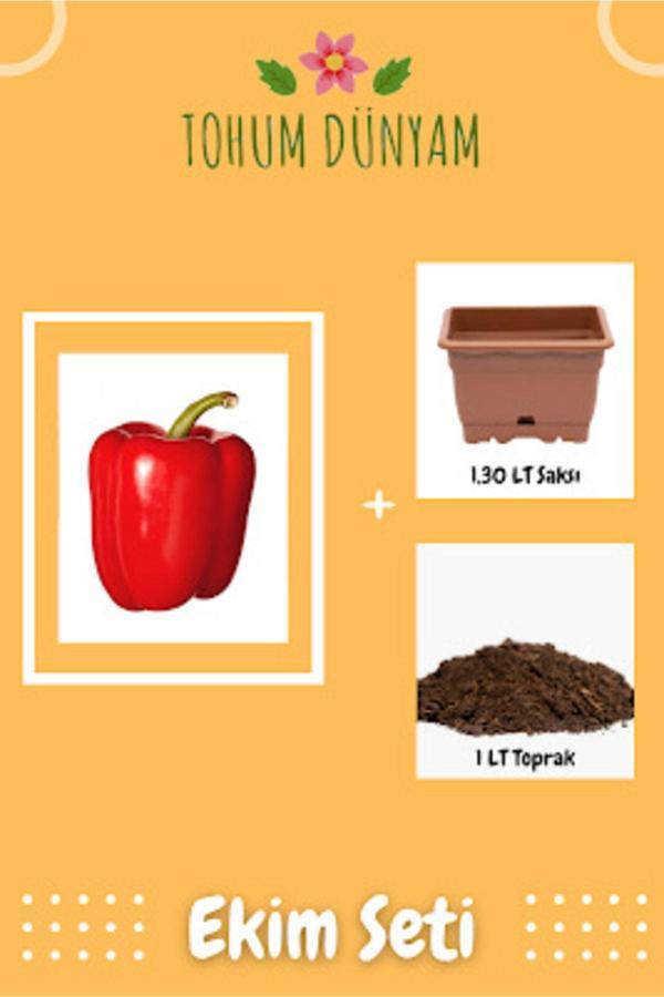 Ayc Botanik Büyük Kırmızı Dolmalık Biber Tohumu Ekim Seti - Image 1
