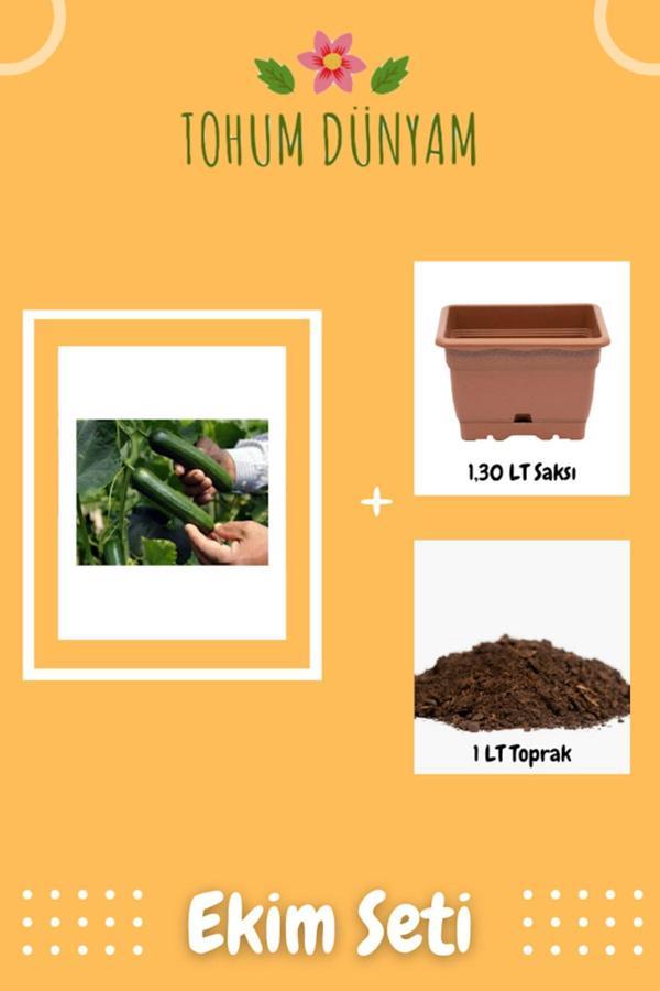 Ayc Botanik Çok Erkenci Nadir Salatalık Tohumu Ekim Seti - Image 1