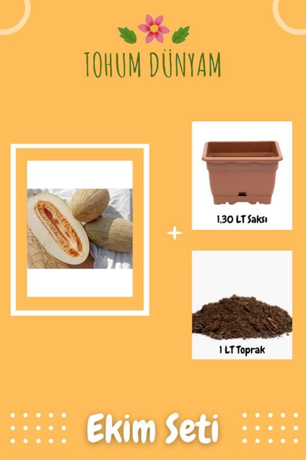 Ayc Botanik Özbekistan Kavunu Tohumu Ekim Seti - Image 1