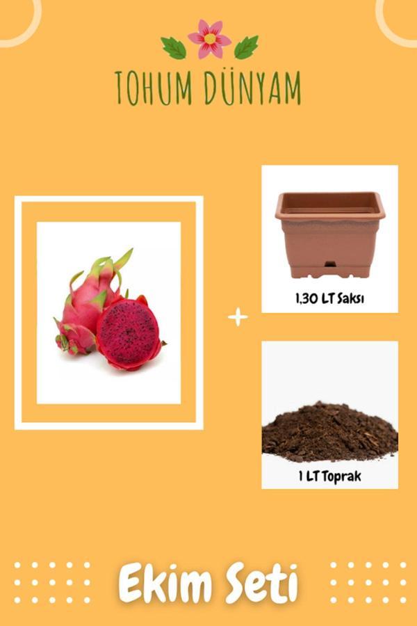 Ayc Botanik Kırmızı Ejder Meyvesi Tohumu Ekim Seti - Image 1