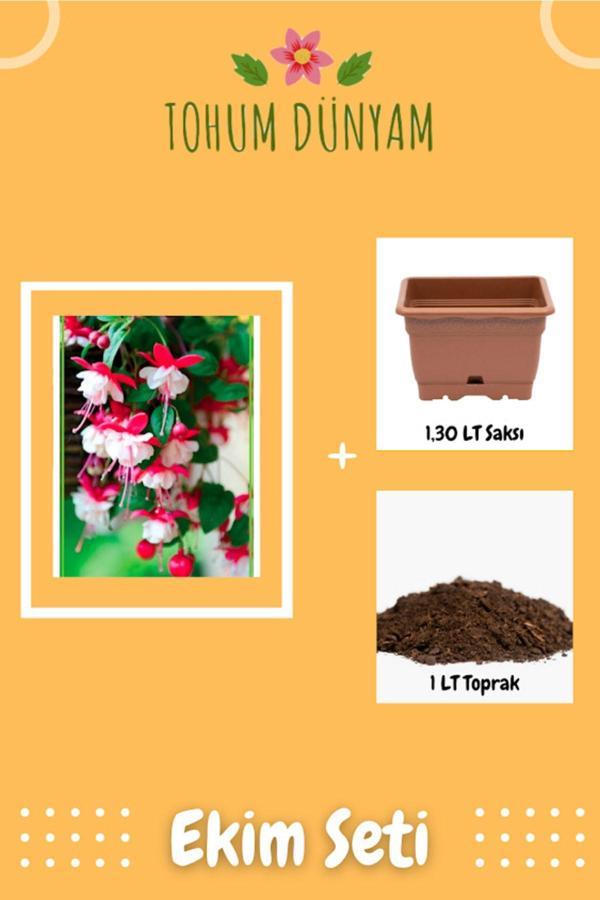 Ayc Botanik Yer Küpeli Çiçeği Tohumu Ekim Seti - Image 1