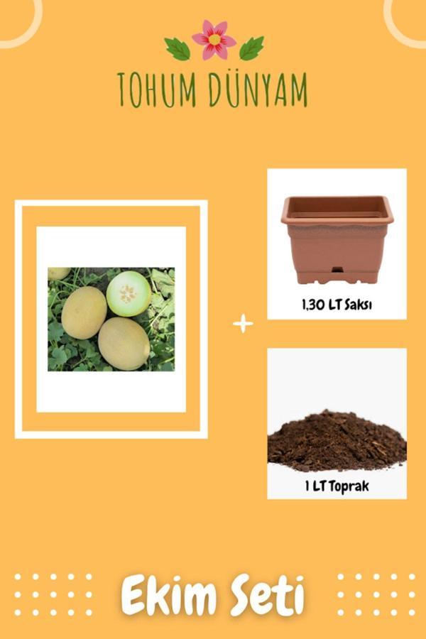 Ayc Botanik Ananas Kavun Tohumu Ekim Seti - Image 1