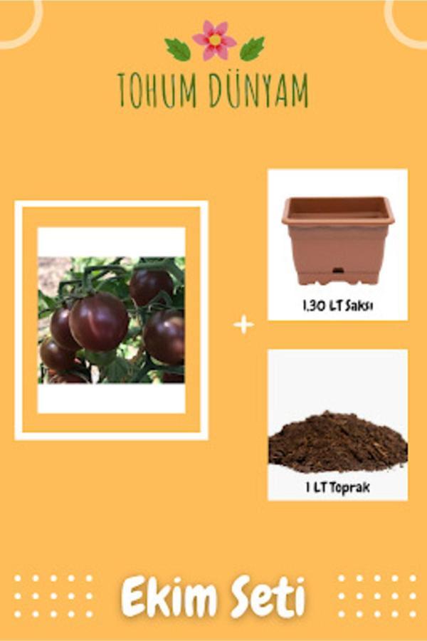 Ayc Botanik Siyah Cherry (Kiraz) Domates Tohumu Ekim Seti - Image 1