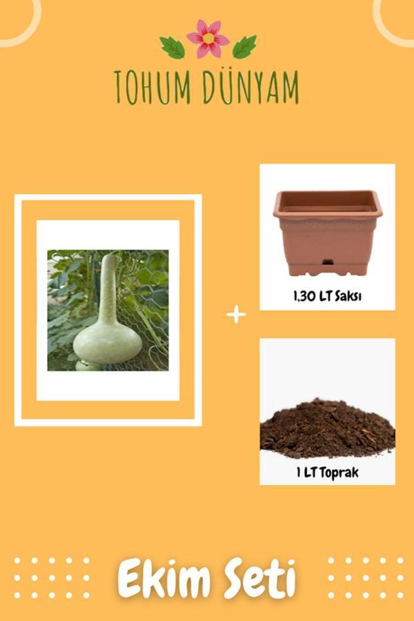 Ayc Botanik Nadir Su Kabağı Tohumu Ekim Seti - Image 1