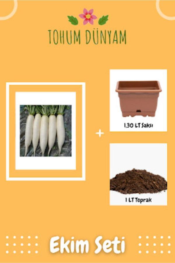 Ayc Botanik Japon Turp Tohumu Ekim Seti - Image 1