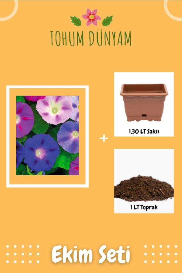 Ayc Botanik Sarmaşık-Gündüz Sefası Tohumu Ekim Seti - Image 1