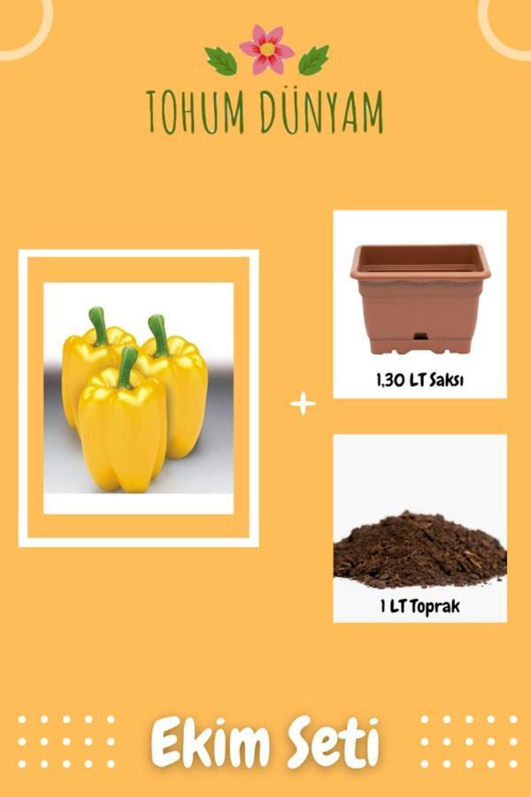 Ayc Botanik Sarı Dolmalık Biber Tohumu Ekim Seti - Image 1