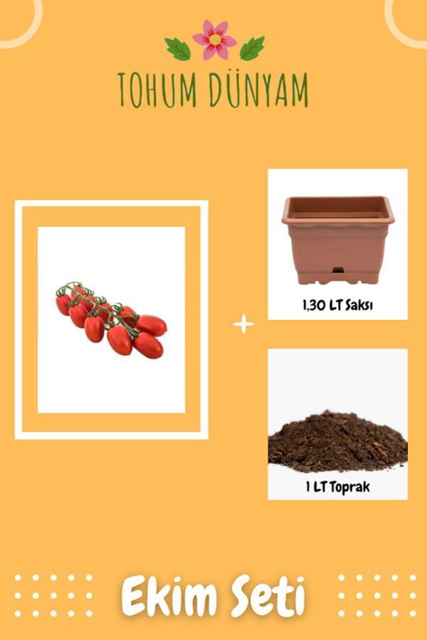 Ayc Botanik Kurutmalık Salçalık Bursa Domatesi Tohumu Ekim Seti - Image 1