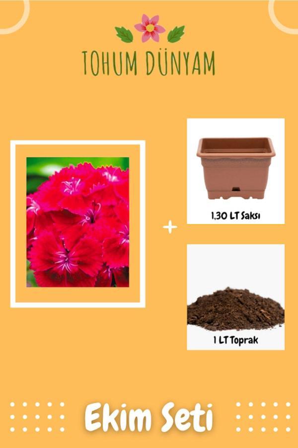 Ayc Botanik Hüsnüyusuf Çiçeği Tohumu Ekim Seti - Image 1