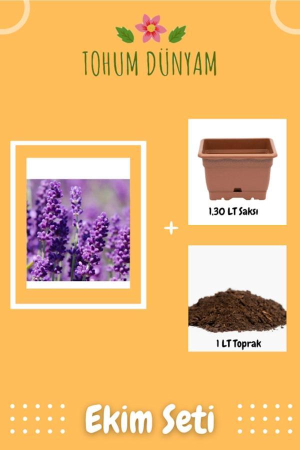 Ayc Botanik Mor Lavanta Çiçeği Tohumu Ekim Seti - Image 1