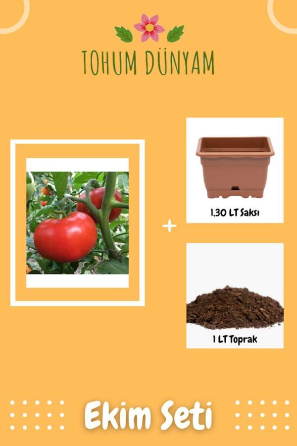 Ayc Botanik Ince Kabuk Domates Tohumu Ekim Seti - Image 1