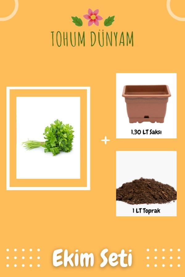 Ayc Botanik Maydanoz Tohumu Ekim Seti - Image 1