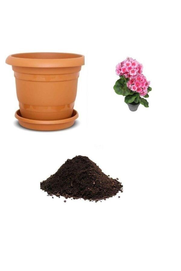 Ayc Botanik Pembe Çan Çiçeği Tohumu Ekim Seti - Image 1