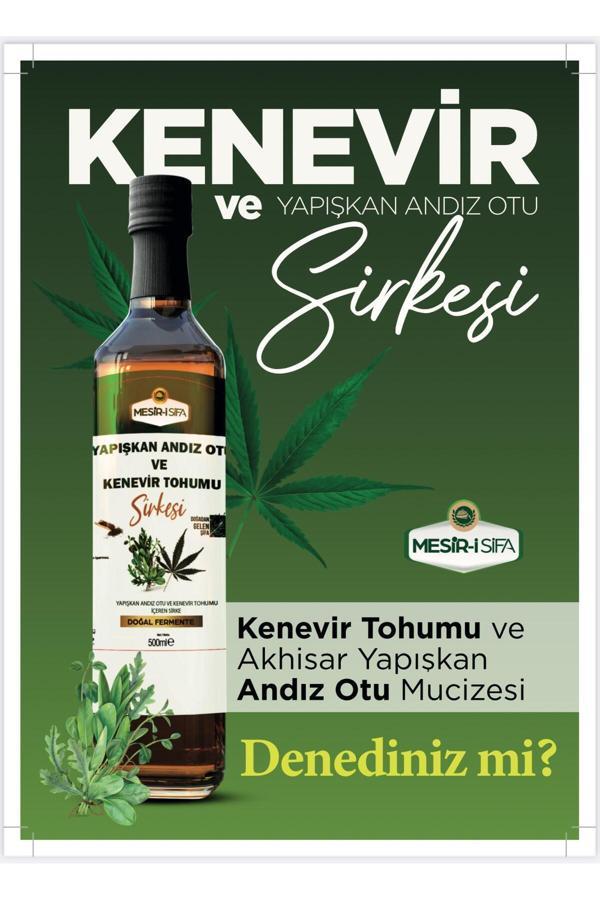Mesirişifa Kenevir Ve Yapışkan Andız Otu Sirkesi 500Ml - Image 1
