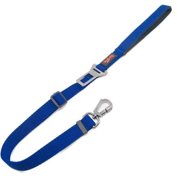 Tailpetz Travel Leash Köpek Gezdirme Kayışı Sax Mavisi Medium - Image 1