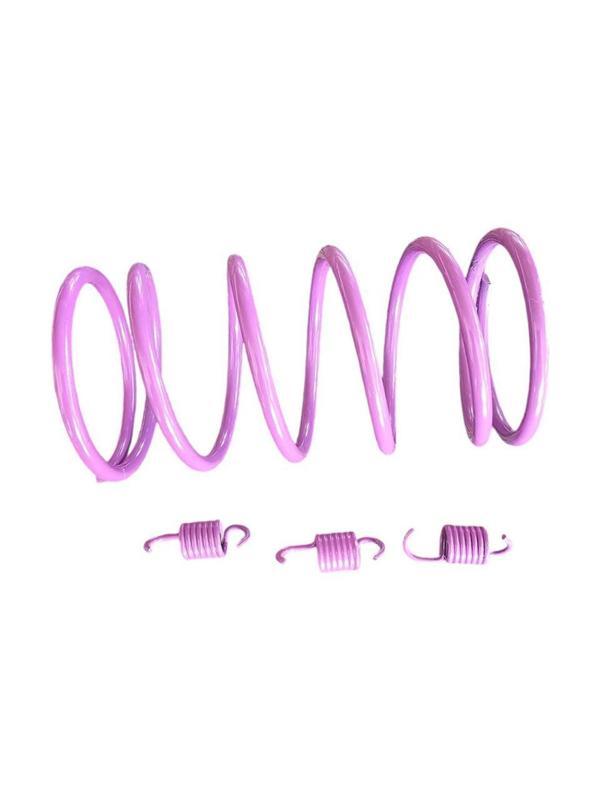 Speed Up Arora Beatrix 150CC Motosiklet Arka Varyatör Performans Yayı + Balata Yayı - Image 1