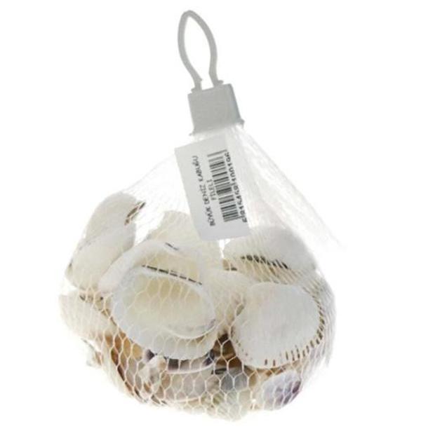 Deniz Kabuğu Filede - Image 1