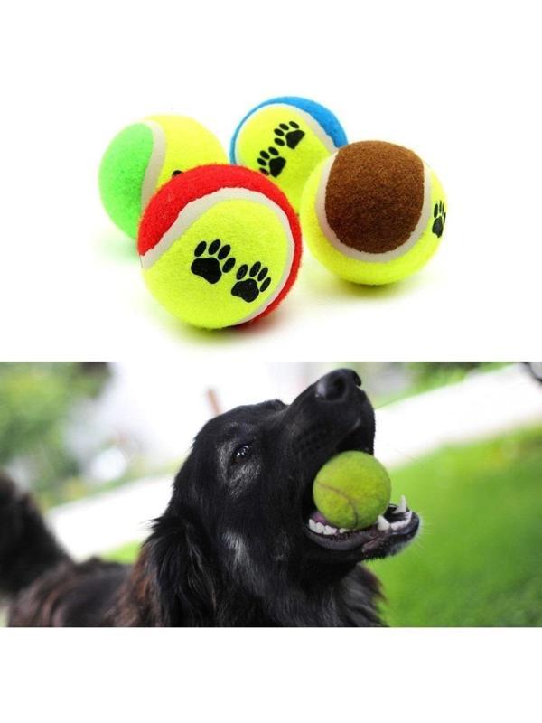 Pati Desenli 4'lü Tenis Topu Köpek Oyuncağı - Image 1