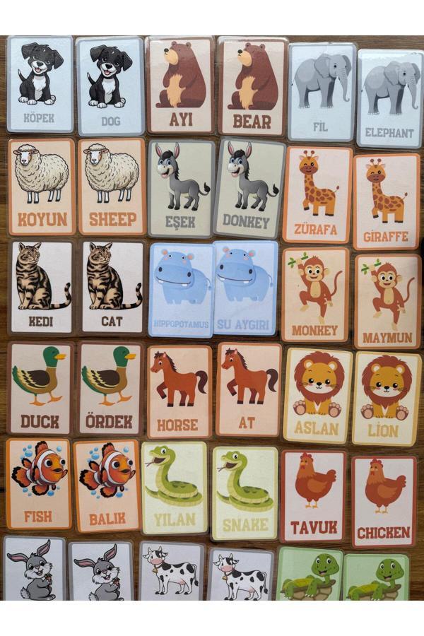 Renkli Zeka İngilizce Türkçe Eğitici Eşleştirme Hafıza Zeka Kartları Hayvanlar ( Yırtılmaz Ve Yıpranmaz) - Image 1