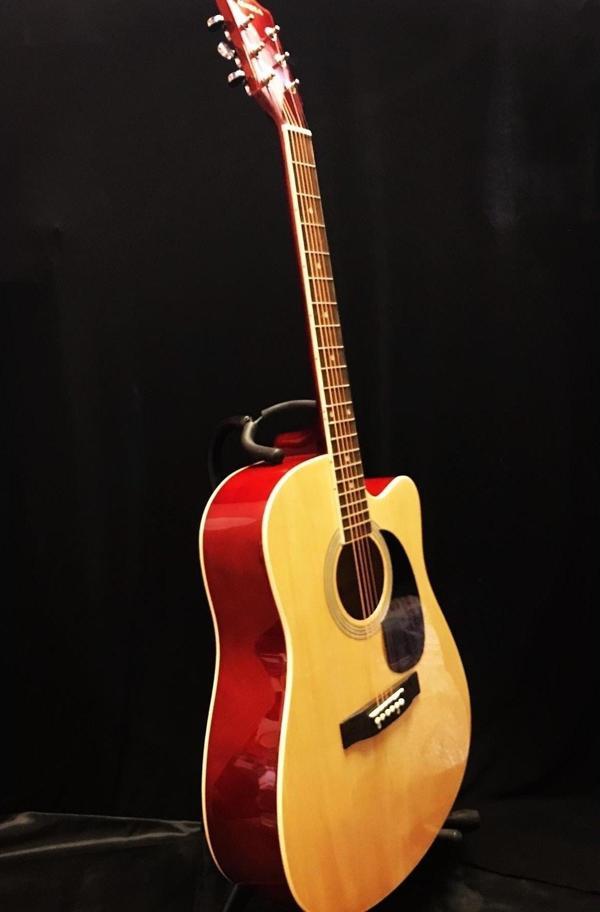 Almeda Akustik Gitar (kılıf+pena ) - Image 1