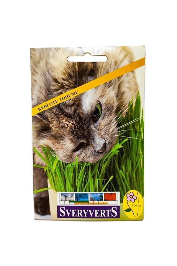 Vipfoni Kedi Otu Tohumu - Image 1