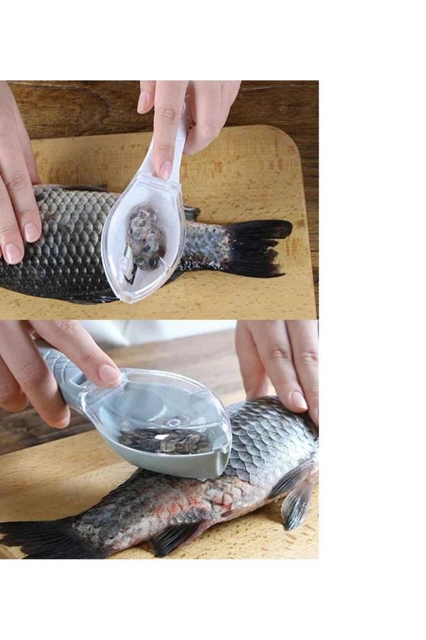 Alpar 1 Adet Balık Pulu Temizleme Aparatı - Image 1