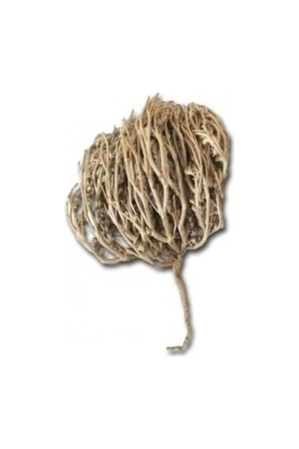 Botanik Sağlık Dökme Bitkiler Meryem Ana Eli/Otu - 1 Adet - Image 1