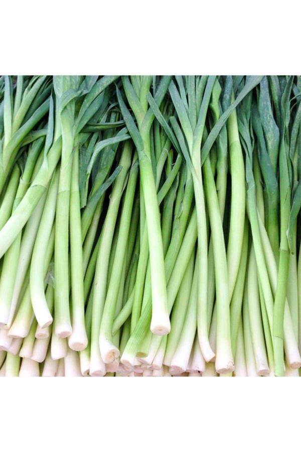 Floramut Uzun Bacaklı Pırasa Tohumu-10 Gram - Image 1