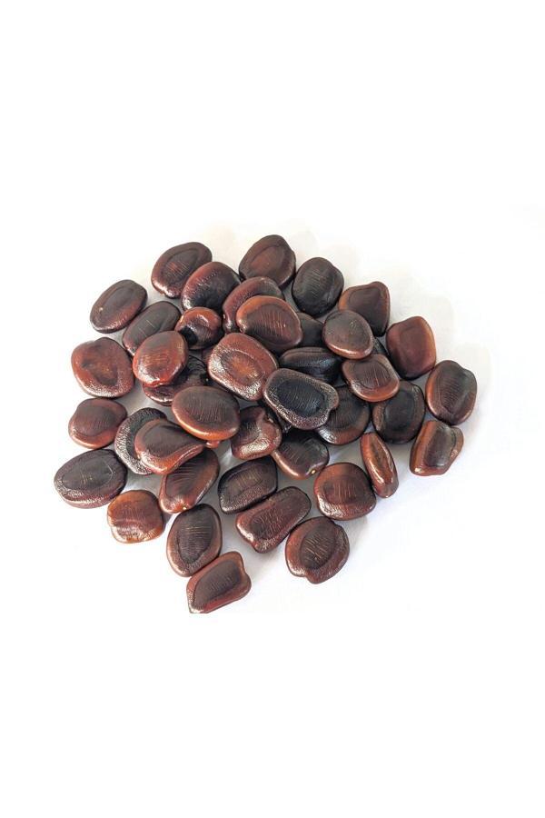 Bade Shop 5 Adet Tamarind Demirhindi Tohumu, Taze Demir Hindi Tohumu - Image 1