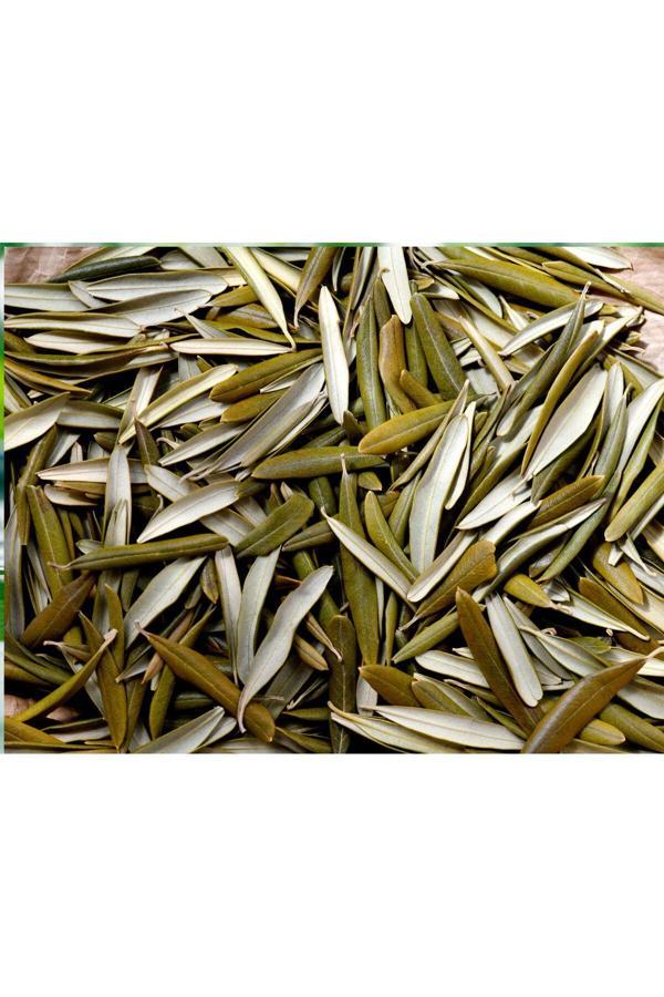 Bade Shop Kurutulmuş Egeden Zeytin Yaprağı Çayı 100 Gr ( Doğal Kurutulmuş) - Image 1