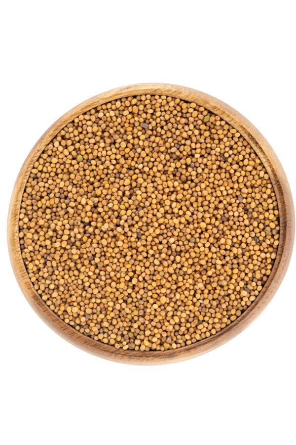Aktar Store Sarı Hardal Tohumu 50 Gr - Image 1