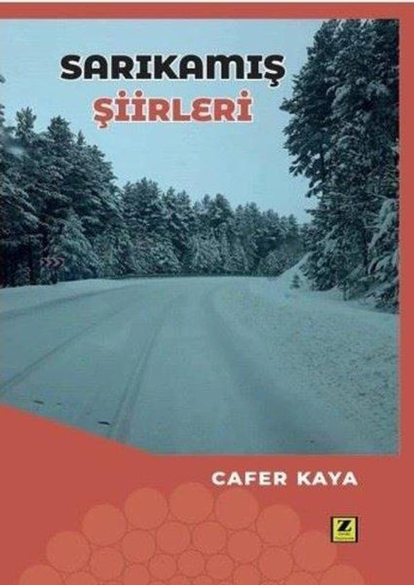 Sarıkamış Şiirleri - Zinde Yayınevi - Image 1