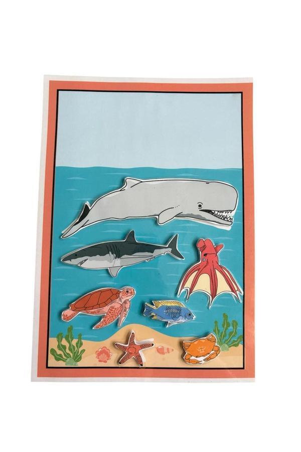 Le Majeur Çocuk Etkinlik Kartları Deniz Canlıları - Image 1