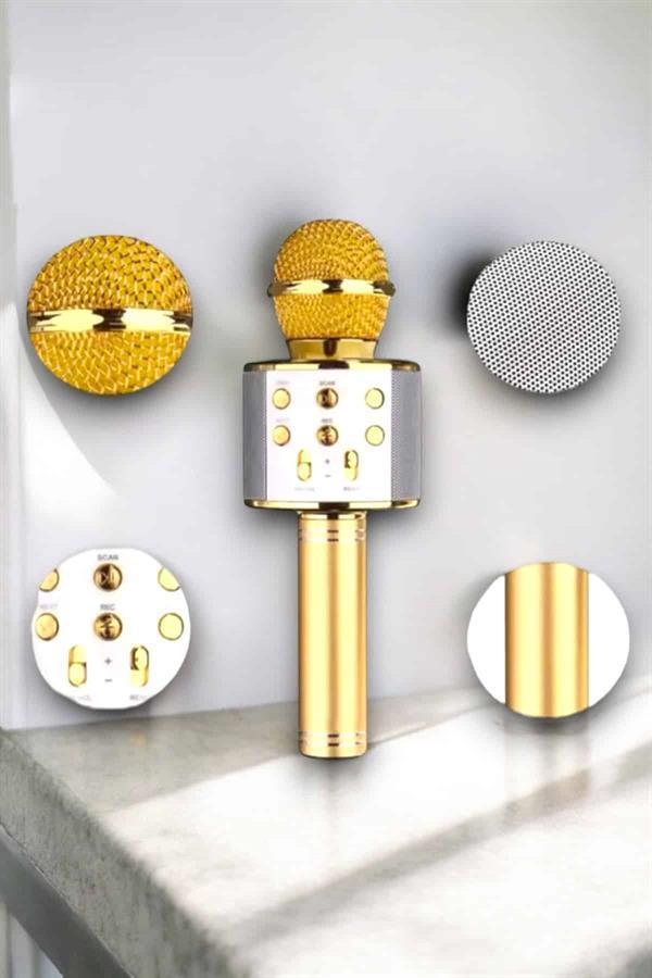 Taşınabilir Bluetooth Karaoke Mikrofon: Hafıza Kart Girişli, Etkileyici Performans - Image 1